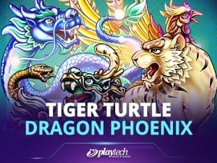 Tiger Turtle Dragon Phoenix thumbnail